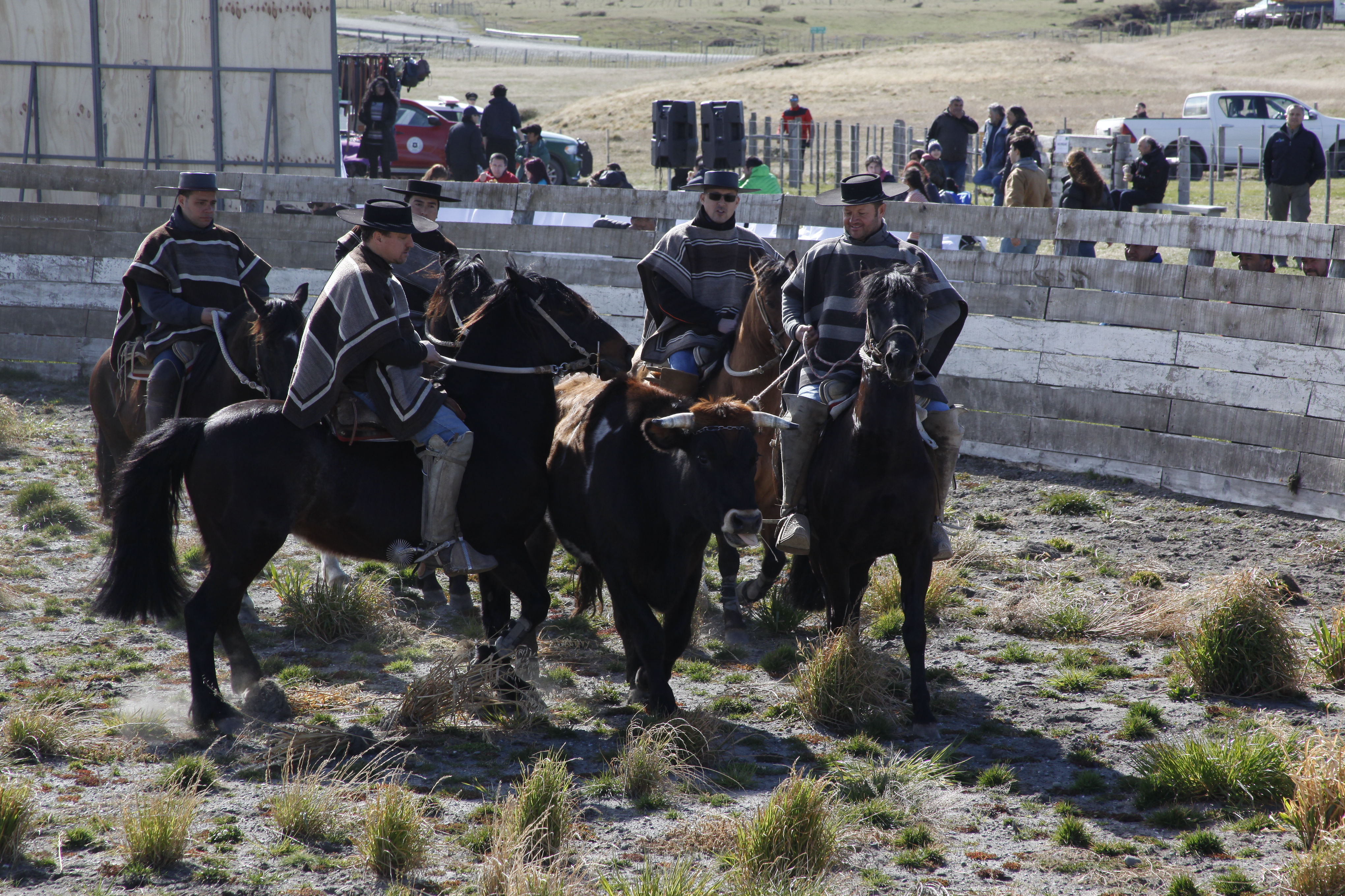 fiesta tipica 6.JPG
