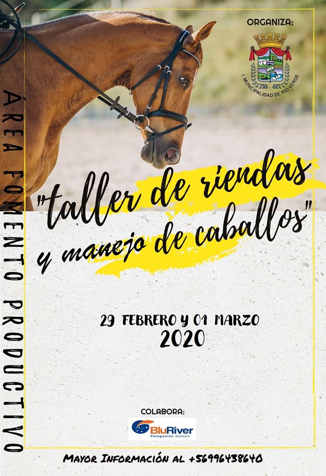 Taller Manejo.jpg