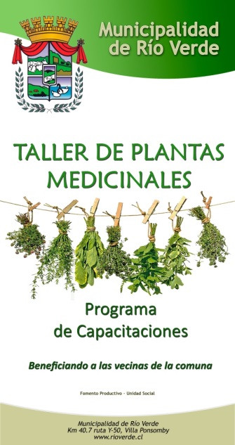 taller.jpg